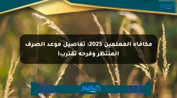 مكافأة المعلمين 2025: تفاصيل موعد الصرف المنتظر وفرحة تقترب!